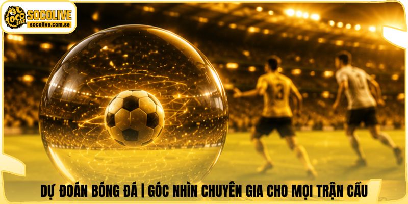 Dự Đoán Bóng Đá | Góc Nhìn Chuyên Gia Cho Mọi Trận Cầu